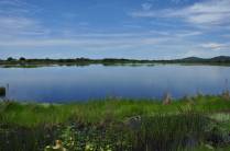 As belezas do caminho para a Serra do Tepequem, no norte de Roraima